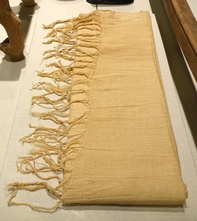 Emmer wheat (Triticum dicoccum), the ancient grain that formed a staple crop of Egypt for millennia