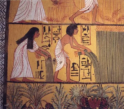 Harvesting scene in the tomb of Menna