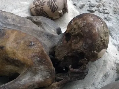 Naturally preserved by the desert sand rather than human intervention, this young adult male from Gebelein dates to between 3341 and 3017 BC