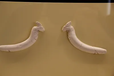 A curved ivory clapper with an animal head, carved from hippopotamus canine tooth and dating to the Thinite period (c. 3100 to 2750 BCE). Po